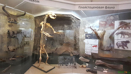 Плейстоценовая фауна Челябинской области
