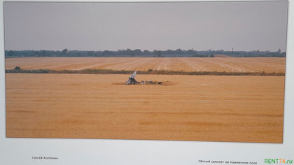 Фото Сергея Коляскина - сбитый самолёт на пшеничном поле