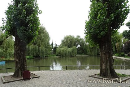 Краснодар: ПКиО Городской сад - деревья и пруд